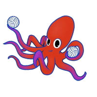 poulpe tenant un ballon de volley
